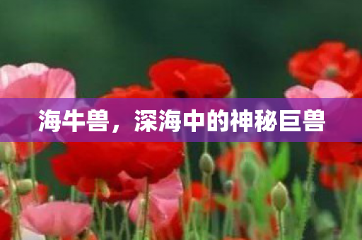 海牛兽，深海中的神秘巨兽