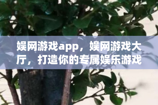 娱网游戏app，娱网游戏大厅，打造你的专属娱乐游戏殿堂