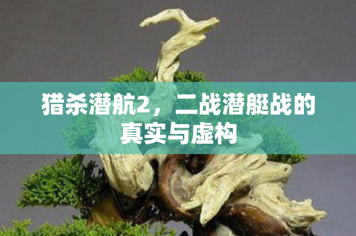 猎杀潜航2，二战潜艇战的真实与虚构