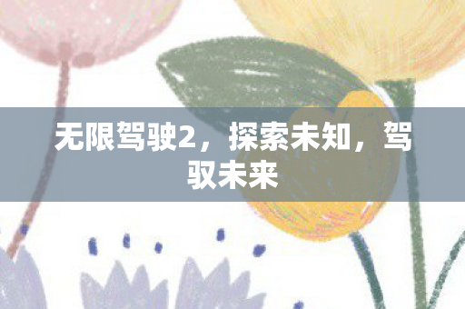 无限驾驶2，探索未知，驾驭未来