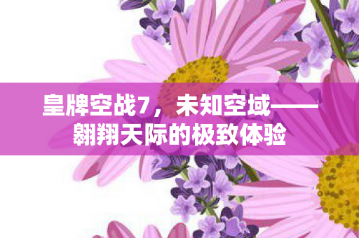 翱翔天际的极致体验图片