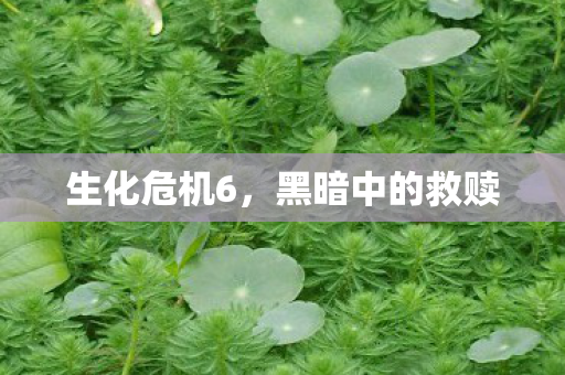 生化危机6，黑暗中的救赎