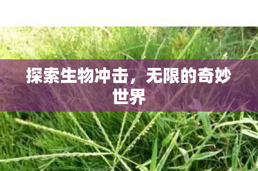 无限的奇妙世界图片