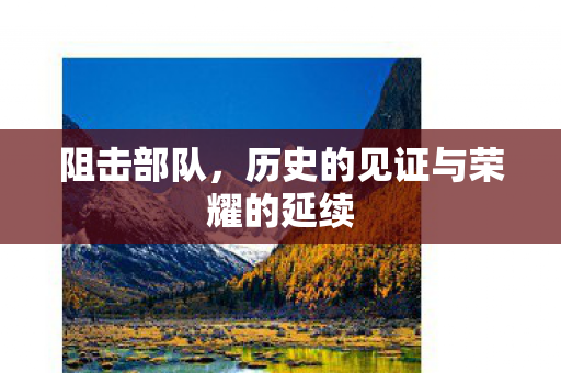 阻击部队，历史的见证与荣耀的延续