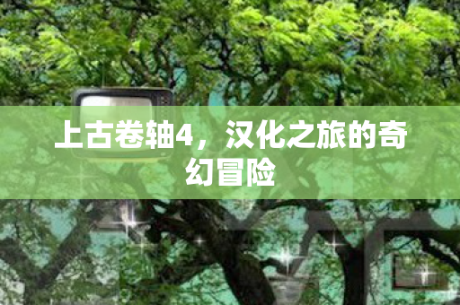 上古卷轴4，汉化之旅的奇幻冒险