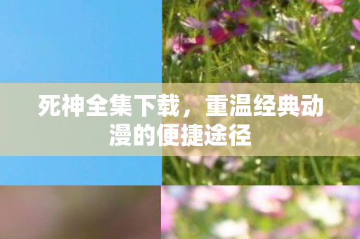 死神全集下载，重温经典动漫的便捷途径
