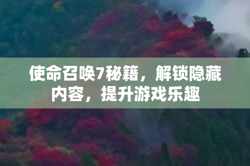 使命召唤7秘籍图片
