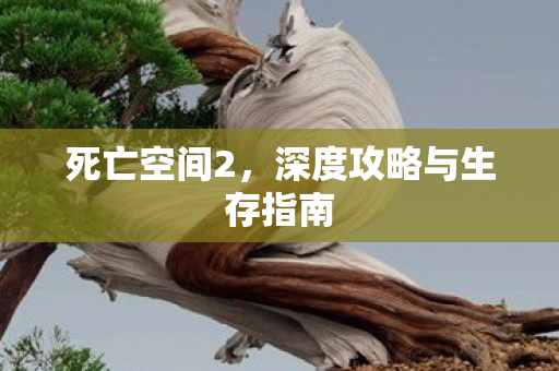 死亡空间2，深度攻略与生存指南