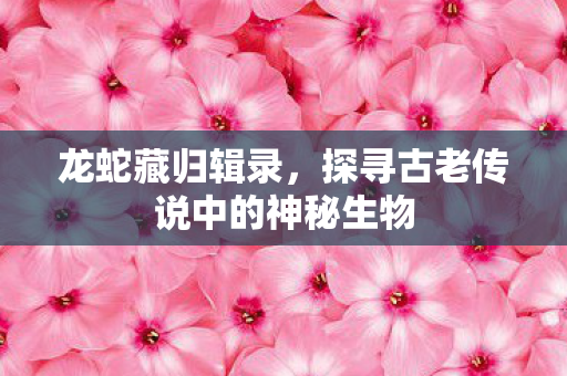 龙蛇藏归辑录，探寻古老传说中的神秘生物