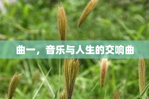 曲一，音乐与人生的交响曲