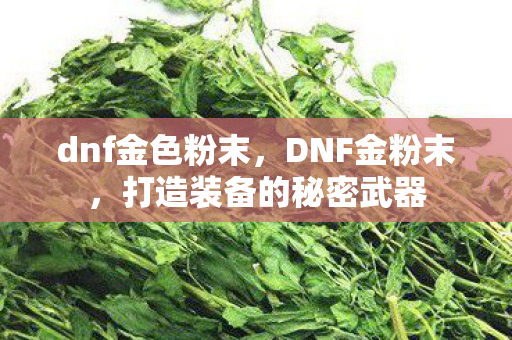dnf金色粉末，DNF金粉末，打造装备的秘密武器