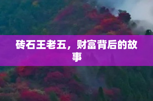 财富背后的故事图片