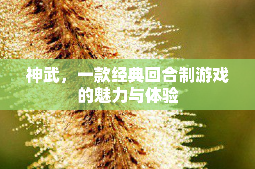 神武，一款经典回合制游戏的魅力与体验