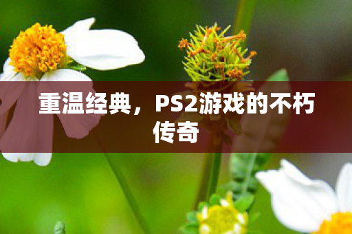 重温经典，PS2游戏的不朽传奇