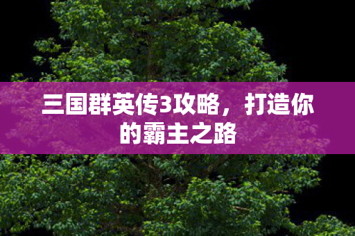 三国群英传3攻略，打造你的霸主之路