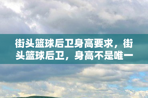 街头篮球后卫身高要求图片