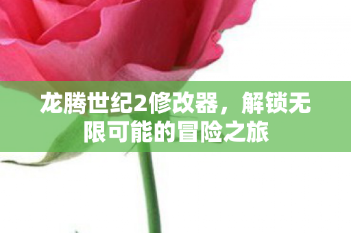 龙腾世纪2修改器，解锁无限可能的冒险之旅