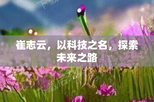 崔志云，以科技之名，探索未来之路