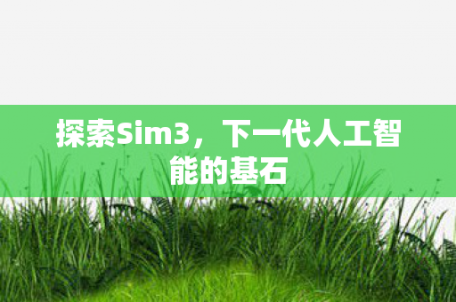 探索Sim3，下一代人工智能的基石