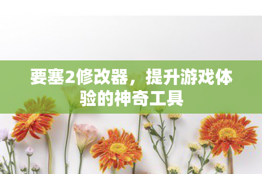 要塞2修改器，提升游戏体验的神奇工具