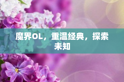 魔界OL，重温经典，探索未知
