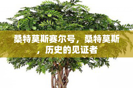 桑特莫斯赛尔号图片