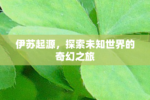 探索未知世界的奇幻之旅图片