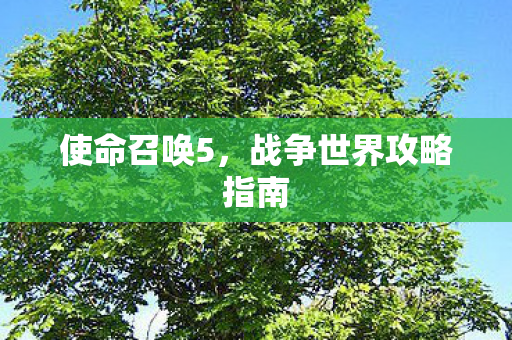 使命召唤5，战争世界攻略指南
