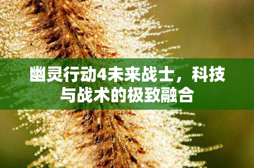 幽灵行动4未来战士，科技与战术的极致融合