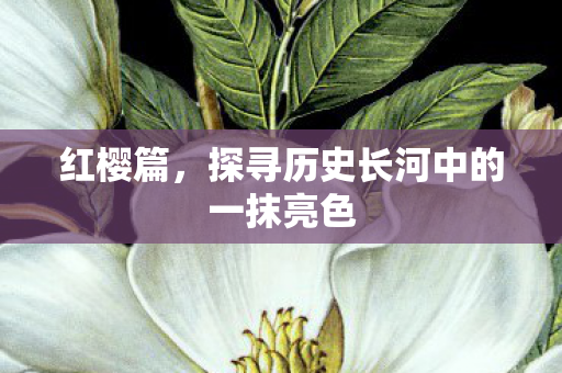 红樱篇，探寻历史长河中的一抹亮色