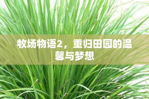 牧场物语2，重归田园的温馨与梦想