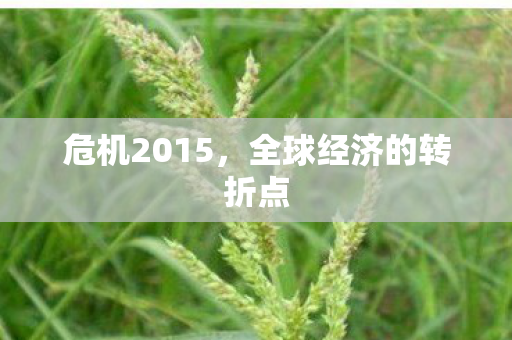 全球经济的转折点图片