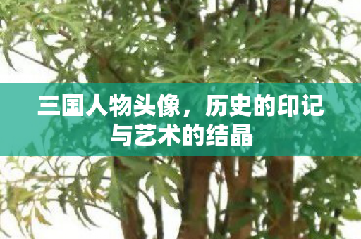 历史的印记与艺术的结晶图片