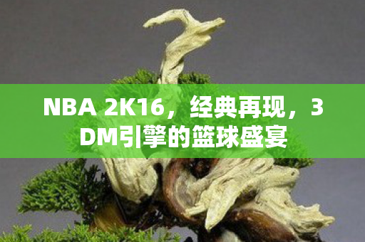 3DM引擎的篮球盛宴图片