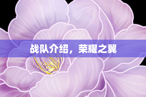 战队介绍，荣耀之翼