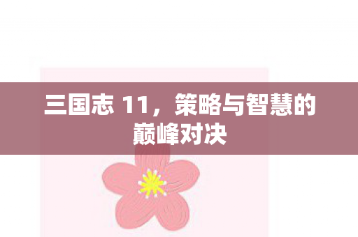 三国志 11，策略与智慧的巅峰对决