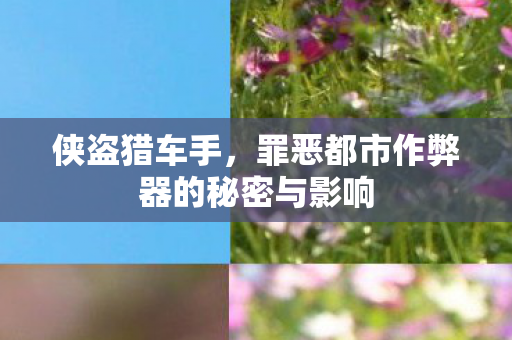 侠盗猎车手，罪恶都市作弊器的秘密与影响