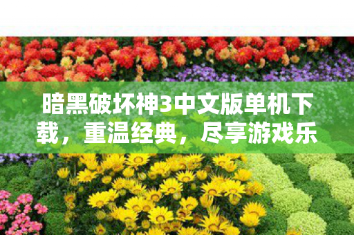 暗黑破坏神3中文版单机下载，重温经典，尽享游戏乐趣