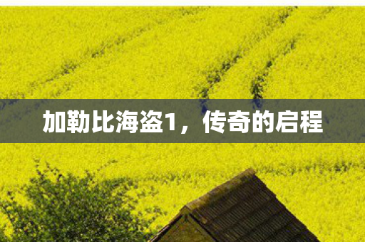 加勒比海盗1，传奇的启程