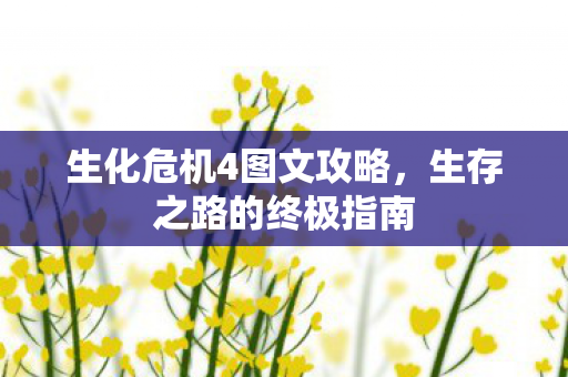 生化危机4图文攻略，生存之路的终极指南