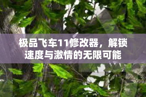 极品飞车11修改器，解锁速度与激情的无限可能