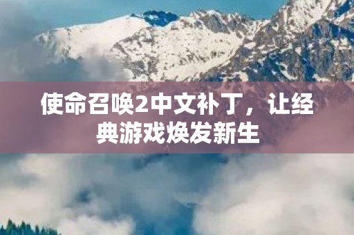 使命召唤2中文补丁，让经典游戏焕发新生