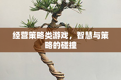 经营策略类游戏，智慧与策略的碰撞