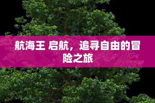 航海王 启航，追寻自由的冒险之旅