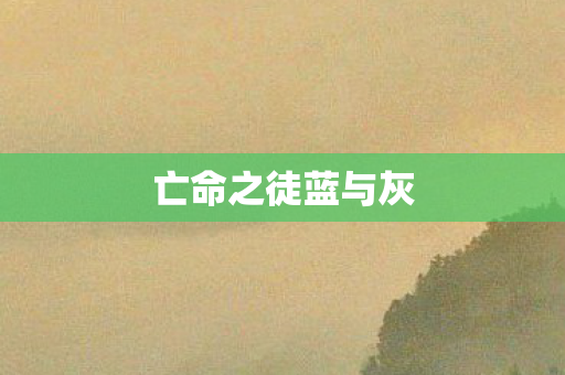 亡命之徒蓝与灰