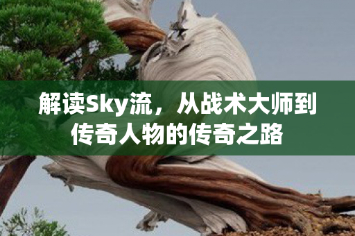 解读Sky流，从战术大师到传奇人物的传奇之路