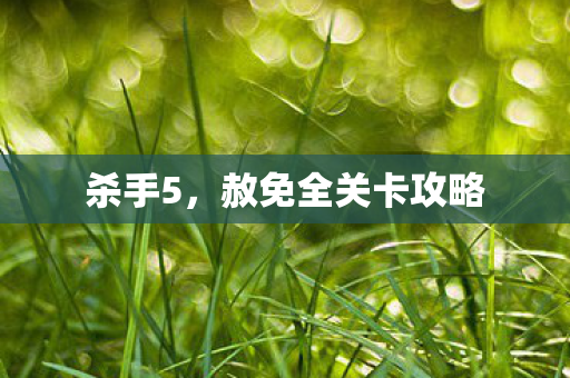 杀手5，赦免全关卡攻略