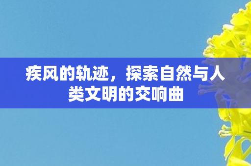 疾风的轨迹，探索自然与人类文明的交响曲