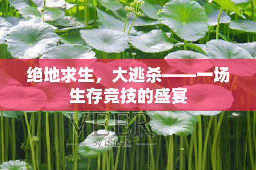 绝地求生，大逃杀——一场生存竞技的盛宴