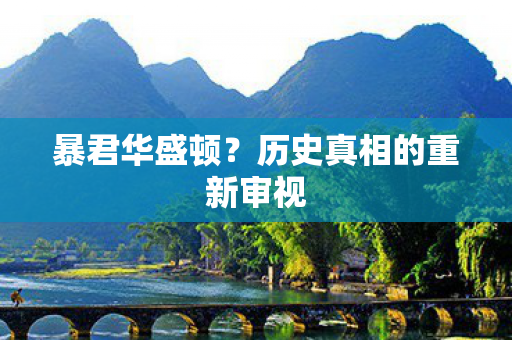 暴君华盛顿？历史真相的重新审视